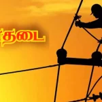 பிளாஸ்டிக் குப்பைகளை கால்வாய், ஓடைகளில் போடக் கூடாது – மேயர் ஜெகன் வலியுறுத்தல்